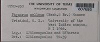 Image Associated With the Occurence